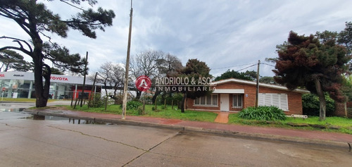 Punta Del Este, Área Comercial Pda. 5- Ref: 6710