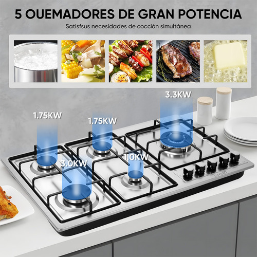 Parrilla Estufa Empotrable 5 Quemadores Gas Acero Inoxidable Plateado