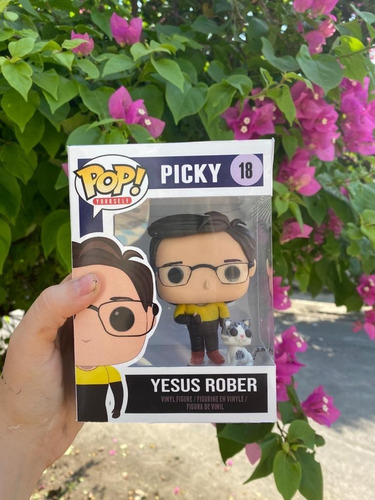 Imagen 6 de 8 de Funko Pop Personalizado ¡express! + Caja+ Mascota