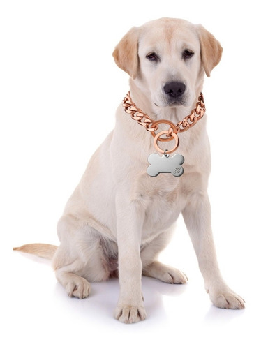 (1#mold)id Tags Blank Metal Tags Personalized Dogs Tags And