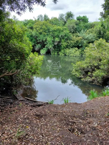 Campo 11 Has Con 683 M2 En Paraje Pueblo Eden