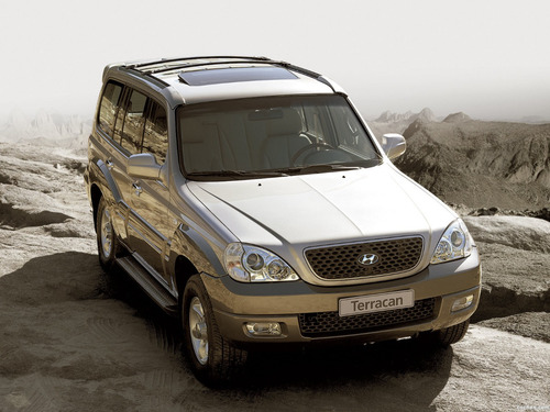 Polea Poli V Para Hyundai Terracan 2.9 Crdi (2003-2007)