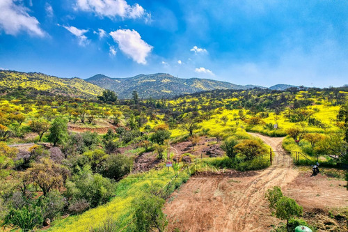 Estupendo Terreno, Paseo Los Bravos