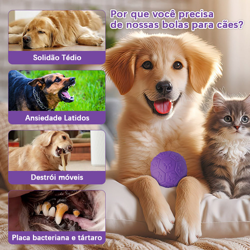 bolinha pet Brinquedo que Chia Cães interativa Momovida Dt- 15 Cor Roxo