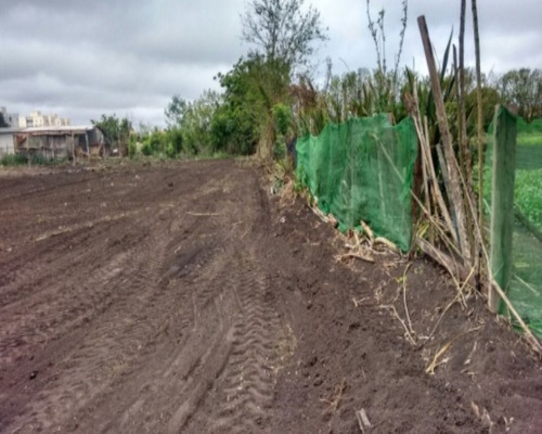 Imagem 5 de 8 de Terreno - Te-17 - 32142492