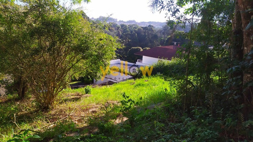 Imagem 19 de 22 de Terreno - Caputera - Te-2651