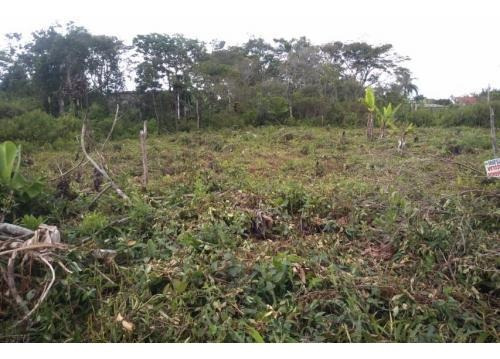 Imagem 7 de 7 de Terreno Com 137 M², Em Itanhaém. Litoral