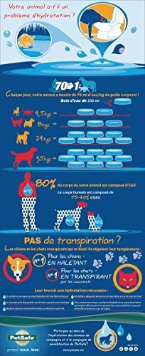 Fuente De Agua Para Mascotas