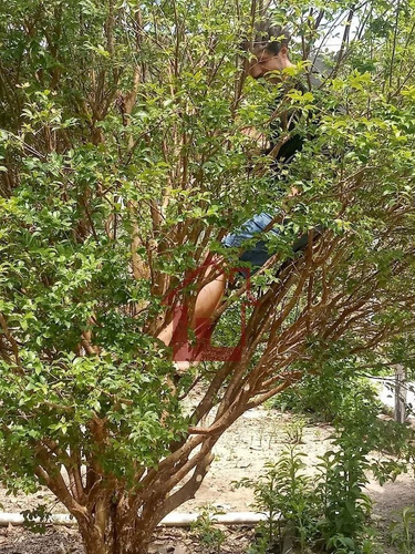 Imagem 26 de 28 de Chácara Em Pouso Seco - St1158