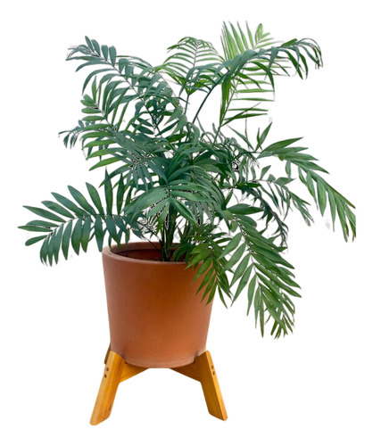 Suporte Para Vaso De Plantas Fixo Reforçado Grande 1 Unidade