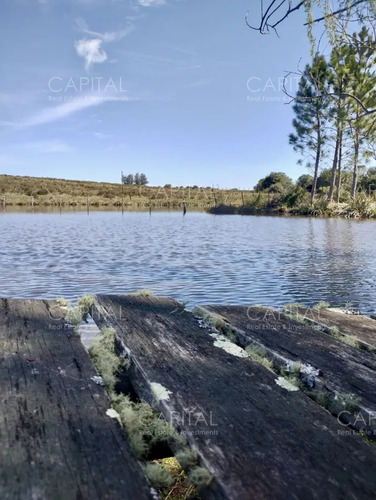 Chacra Con Vista Privilegiada En Pueblo Garzón