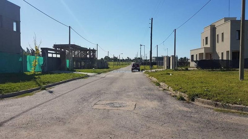 Imagen 11 de 13 de Lote En Venta En Gorina | 507y137 | Don Carlos 1 (ph M. 61-l.1-uf.5)