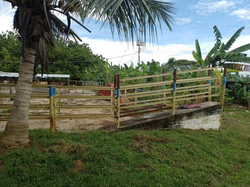 Imagen 12 de 25 de Finca En Venta En Libertador San Timoteo, Zulia