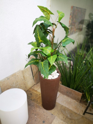 2 Piezas De Maceta Minimalista De Plástico Ficus 60 Exterior