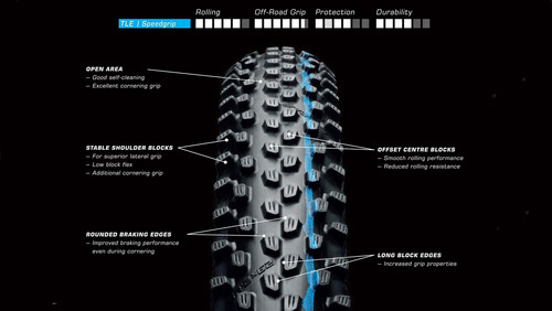 Pneu Schwalbe Racing Ray 29 X 2.25 Addix Evo Snakeskin