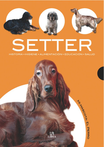 Setter, De Villahizan, Javier. Editorial Libsa En Español