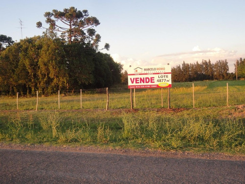 Imagen 2 de 4 de Lotes En Ruta Panamericana, San Pedro