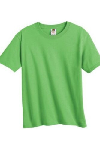 Fruit Of The Loom Large Pk4 (ts-148*m) Cck