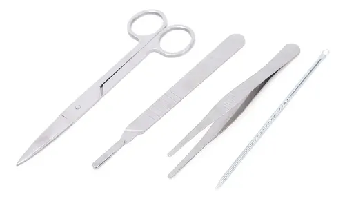 4pcs Set Dissecting Tweezers Scissors Needle Set Biological | MercadoLivre