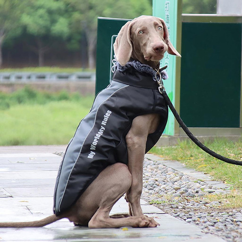 Trajes Chaleco Chaqueta Abrigos De Clima Frío Perros 3xl