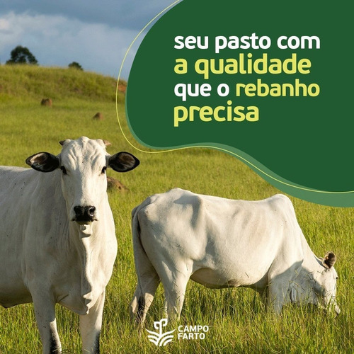 Sementes Incrustadas Mg 12 Paredão Matsuda