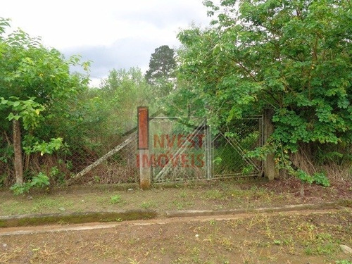 Imagem 4 de 4 de Terreno - Ref: 1141 - V-1141