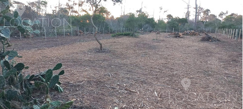 Terreno En El Caracol C21m5