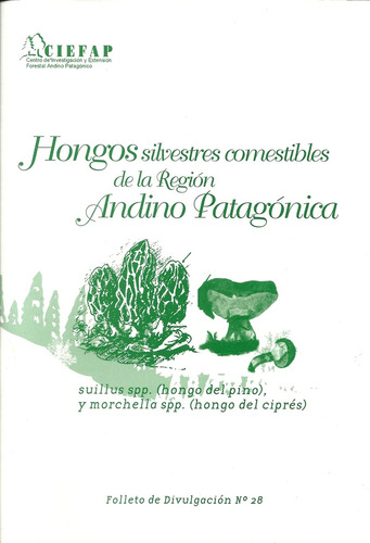 Hongos Silvestres Comestibles De La Región Andino Patagónica