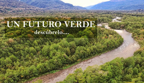 Oportunidad!! Se Vende Terreno De 2 Hectáreas Con Orilla De