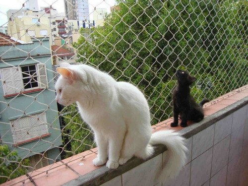 Imagen 3 de 9 de Redes Proteccion Balcon Niños, Ventana, Mallas Mascotas
