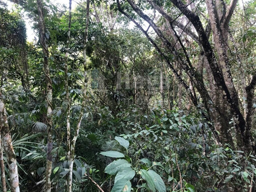 Terreno Rural Para Chácara À Venda Em Itajaí/sc - 1670c