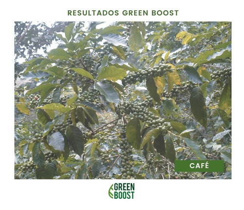Imagen 5 de 10 de Green Boost Fertilizante Orgánico Líquido 1 Litro