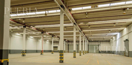 Galpón En Alquiler 3.500 M2  - Parque Industrial - Pablo Podestá