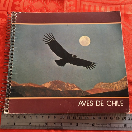 Libro Agenda Aves De Chile Fotografias De Thomas Daskam Bird