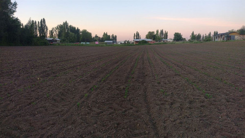 Terreno En Comuna De Retiro, Región Del Maule
