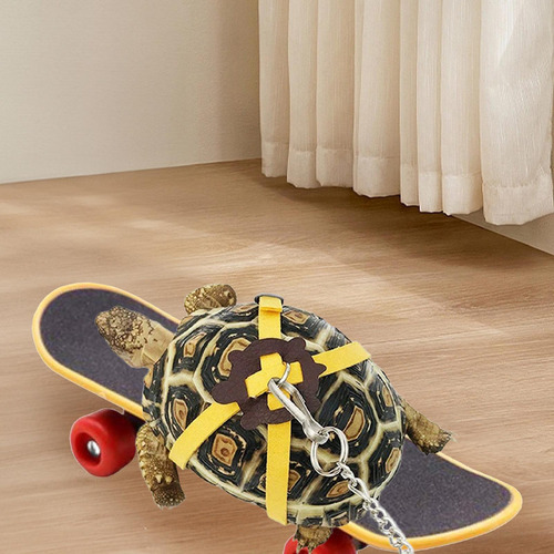 Monopatín De Tortuga, Juguete De Tortuga Con Correa