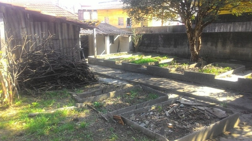 Imagem 2 de 6 de Terreno Vila Alpina C/ Casa Antiga Ótimo P/ Construtores - 1033-9647