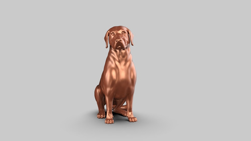 Postura Del Labrador Retriever 03- Figura Plastica