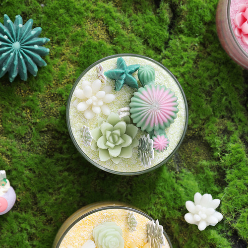 Pink Gem-peach Oolong - Vela Perfumada De Cacto Suculento Fa