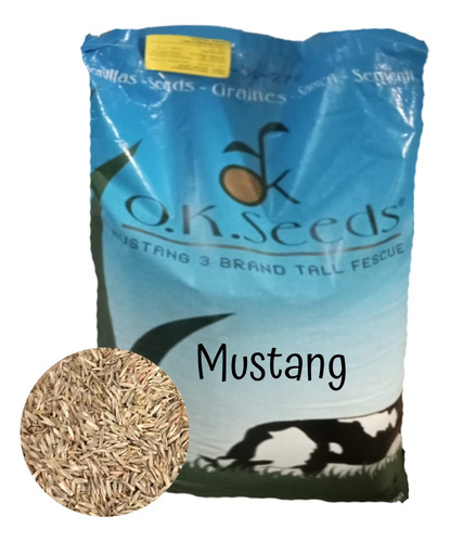 Semilla De Grass Rye Césped 2 Kg