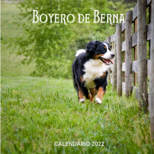 Libro: Boyero De Berna Calendario 2022: Calendario 2022 8.5 