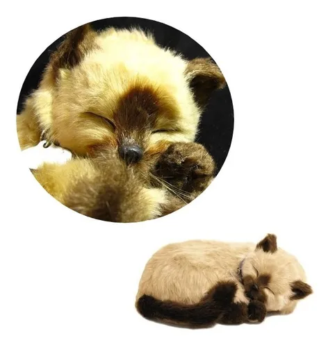 Perfect petzzz sale panda