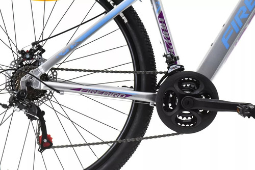 Bicicleta Mountain Mtb Firebird Alum Rodado 29 Disco Susp Color Col-raiser Gris/verde Tamaño Del Cuadro M