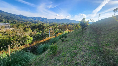 Venta Lote En La Ceja Vía San Antonio Unidad Cerrada