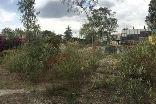 Imagen 3 de 10 de Terreno En Venta Lomas De Chapultepec, Miguel Hidalgo