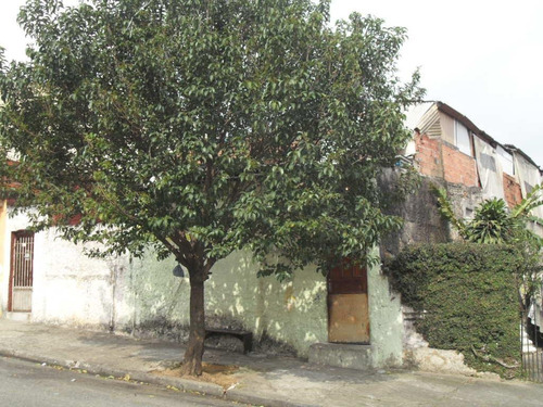 Imagem 7 de 8 de Terreno À Venda, Vila Matilde, São Paulo. - Te0017