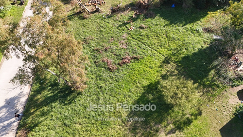 En Venta Terreno Baldio Tapalque.
