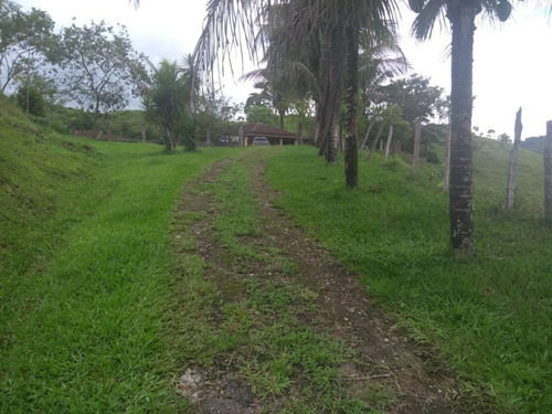 Fazenda 66 Alqueires - Juquitiba-sp - Fa00003 - 34856184