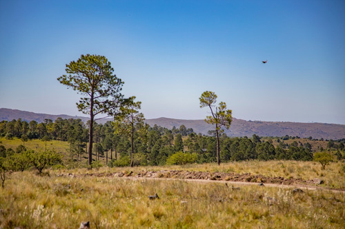 Hermosos Lotes, Potrero De Garay