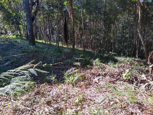 Imagem 2 de 14 de Lindo Terreno Com Otima Topografia Px Ão Centro